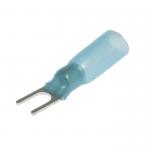 SV2-4 HST Blue
