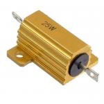 RX24 25W 5% 2R